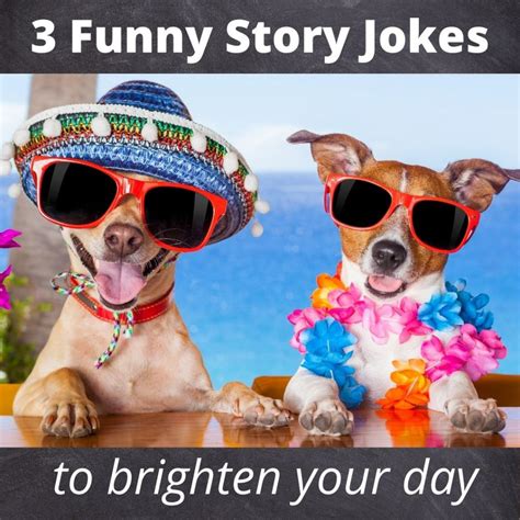 funny story funny image